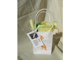 1 Medium Gift Bag and 2 Small Gift Bags by various stars of Knoxville Zoo