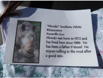Medium Tote Bag decorated by 'Mondo' Southern White Rhinoceros