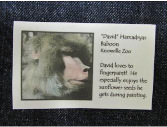 Set of 4 Notecards decorated by 'David' Hamadryas Baboon