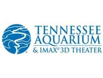 Tennessee Aquarium & IMAX