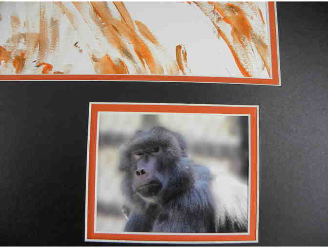 I'm All Vol Painting by 'David' Hamadryas Baboon