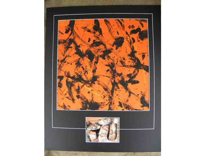 Primitive Painting by Annulated Boa