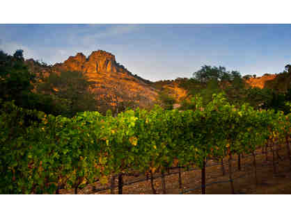 LIVE AUCTION ITEM! NAPA VALLEY - VIP WINE TASTING AND TOURS PLUS HOTEL ACCOMMODATIONS