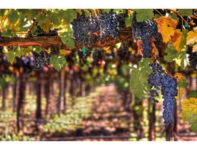 LIVE AUCTION ITEM! NAPA VALLEY - VIP WINE TASTING AND TOURS PLUS HOTEL ACCOMMODATIONS