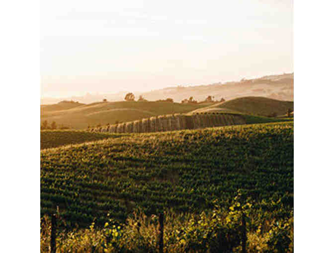 CLINE CELLARS PACKAGE - WINE BASKET & VIP TASTINGS/ TOURS W/ LUNCH AT CLINE CELLARS