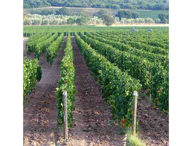 EATALY EXPERIENCE - $200 GC FROM EATALY & THREE WINE BOTTLES