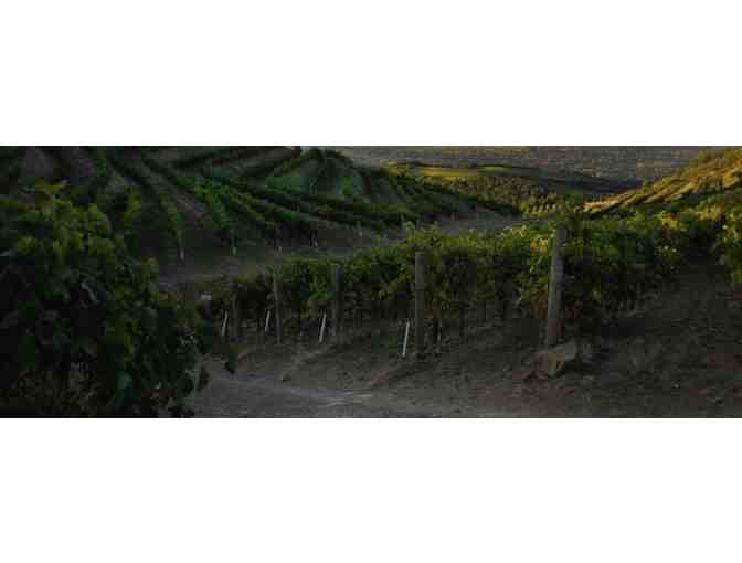 THE PRISONER/ CONSTELLATION EXPERIENCE - 6 WINE BOTTLES W/ VIP TASTINGS/ TOURS FOR 4