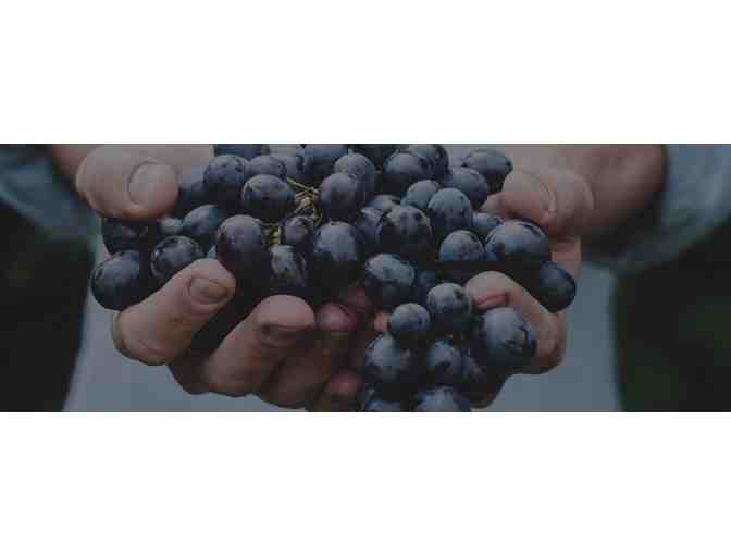 THE PRISONER/ CONSTELLATION EXPERIENCE - 6 WINE BOTTLES W/ VIP TASTINGS/ TOURS FOR 4