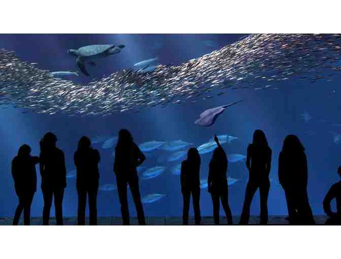 MONTEREY MARRIOTT - ONE NIGHT STAY W/ BREAKFAST FOR TWO