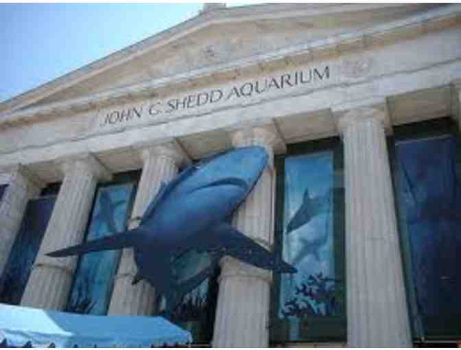 Adventure at the John G. Shedd Aquarium