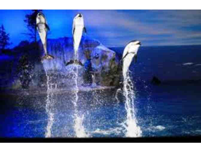 Adventure at the John G. Shedd Aquarium