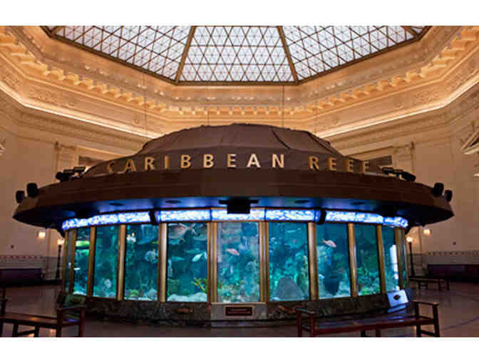 Adventure at the John G. Shedd Aquarium