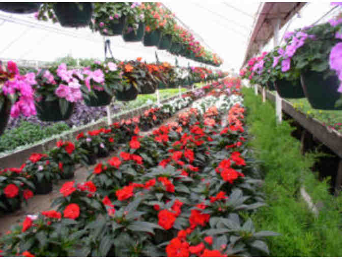 Riverside Florist Gift Certificate