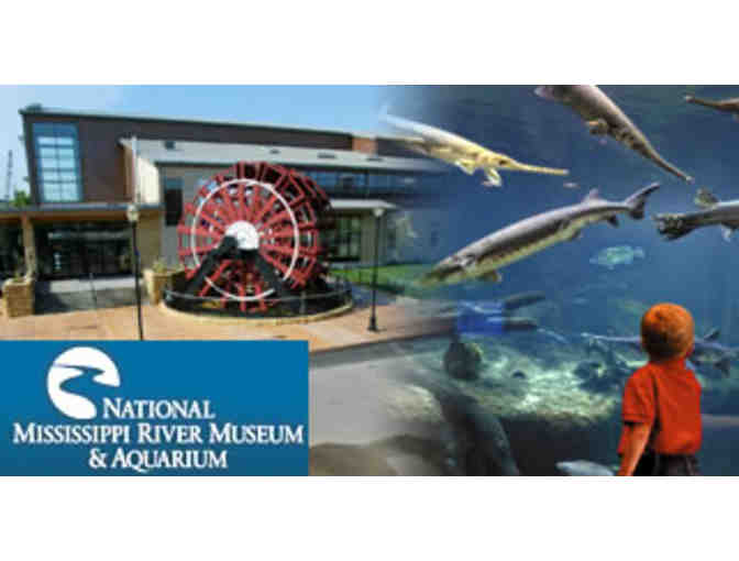 Admission for Two to the National Mississippi River Museum and Aquarium