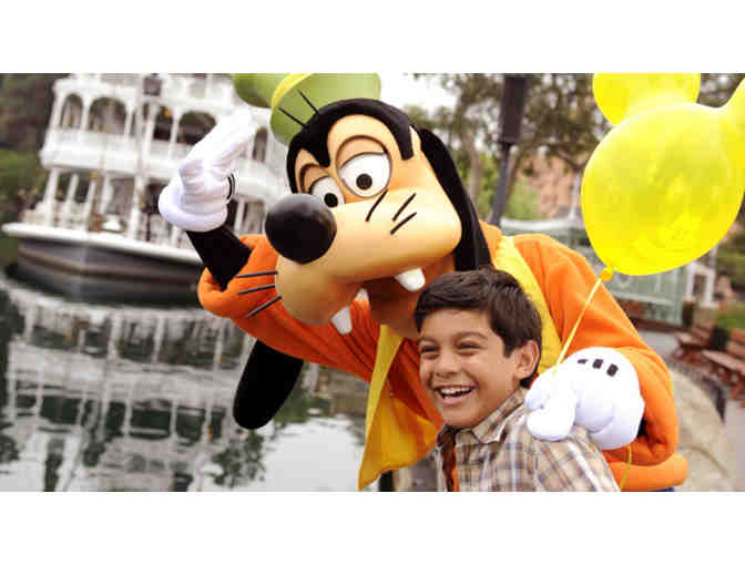 Disneyland & More Basket! Includes Disneyland Tickets, Stuffed Mickey & Minnie, & More!