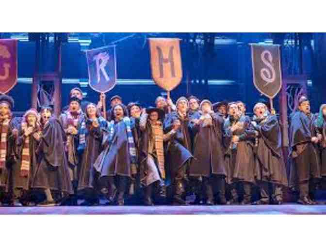 Harry Potter VIP on Broadway