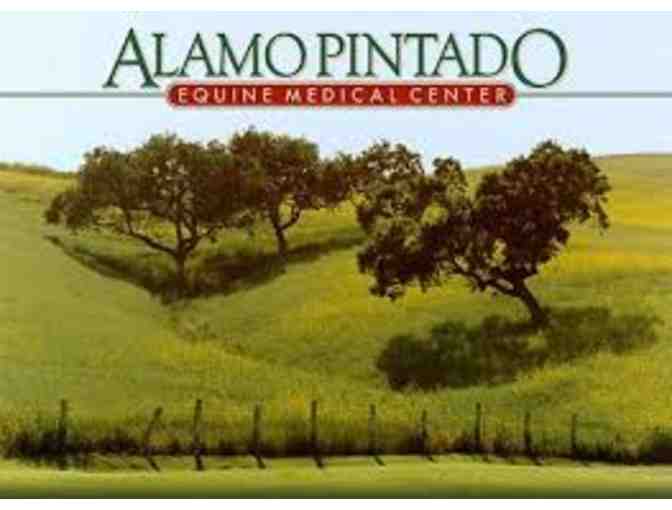 Private Tour Alamo Pintado Equine Medical Center (4) and $100 Gift Card Los Olivos Cafe
