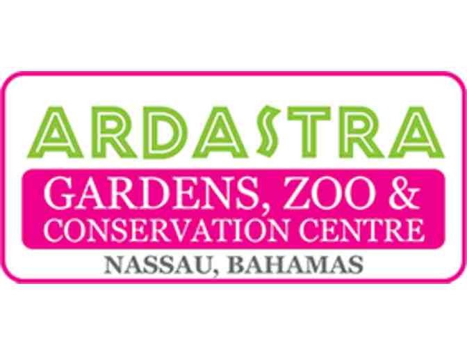 Ardastra Gardens 'Full Monty' Birthday Party