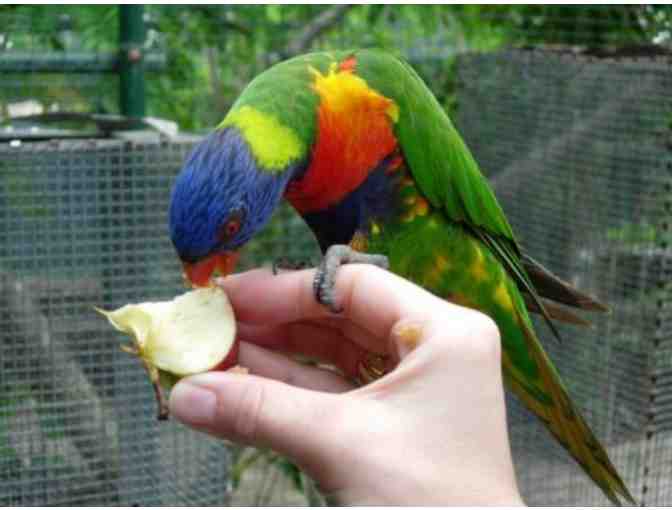 Ardastra Gardens 'Full Monty' Birthday Party