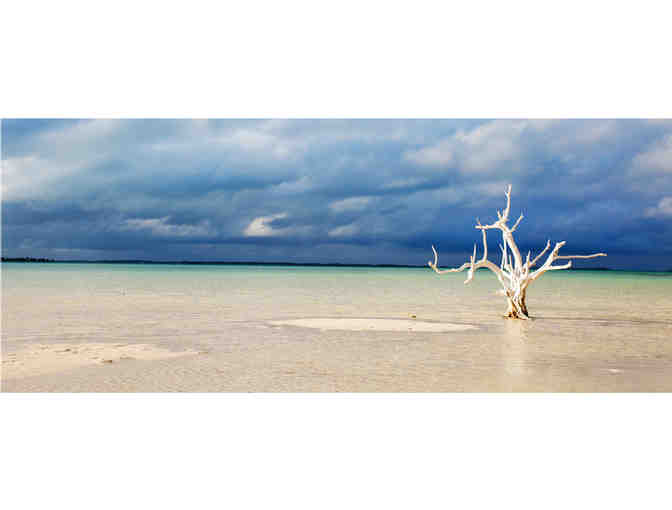 Harbour Island Getaway