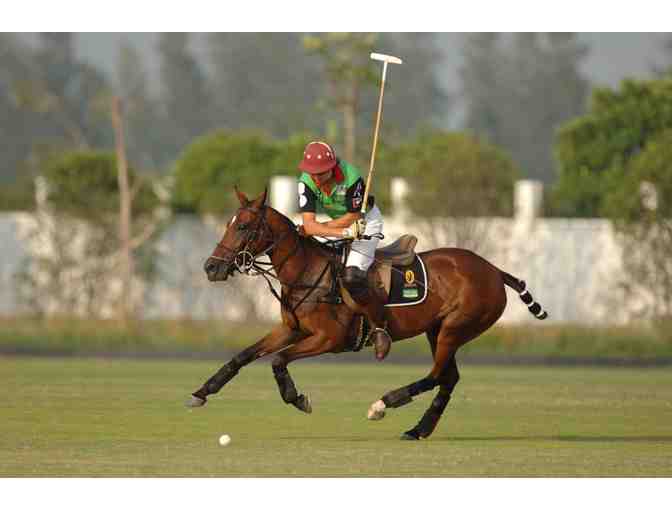 Learn to Play Polo in Argentina