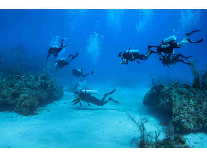 Diving at Cape Eleuthera's Island School