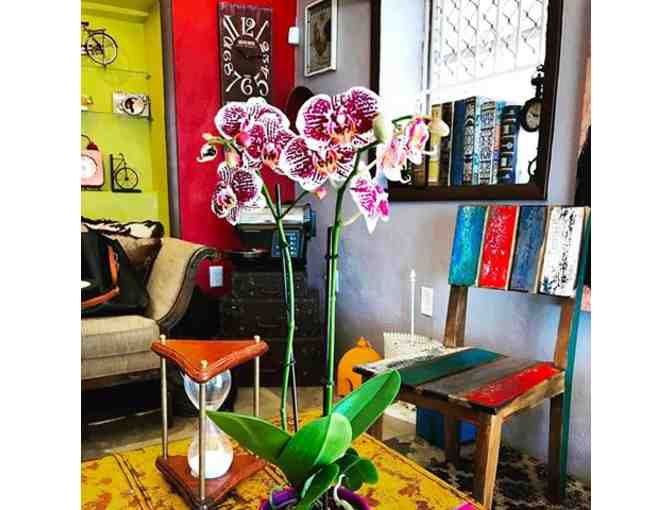 Pop Up Coffee & Sweet Treats