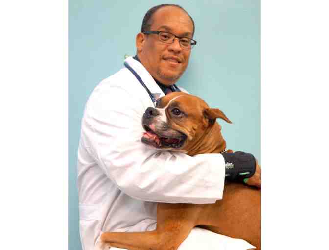 Junior Vet for the Day