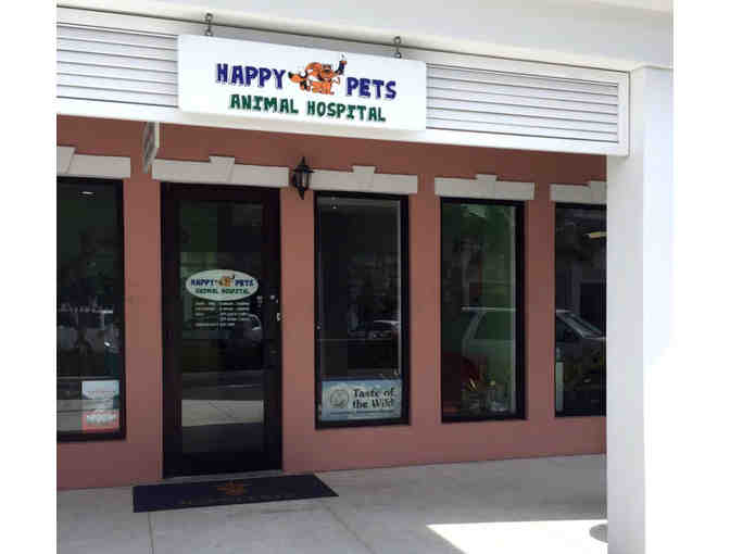 Junior Vet for the Day