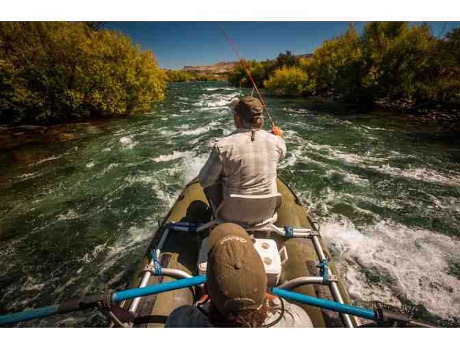 Trout Fishing in Northern Patagonia