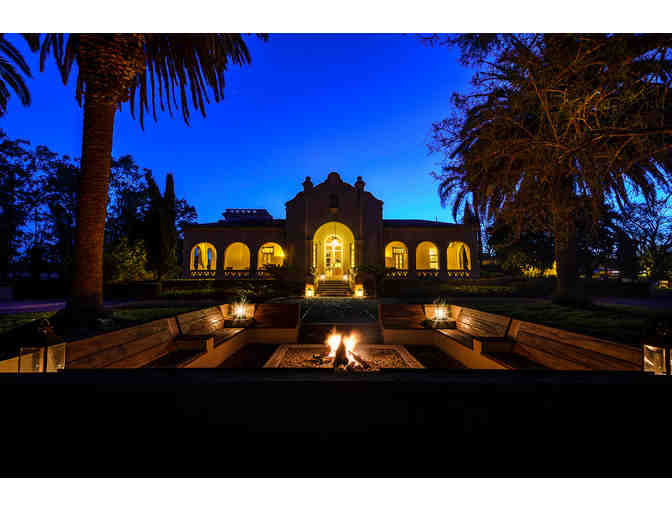 Dove Hunting in Argentina