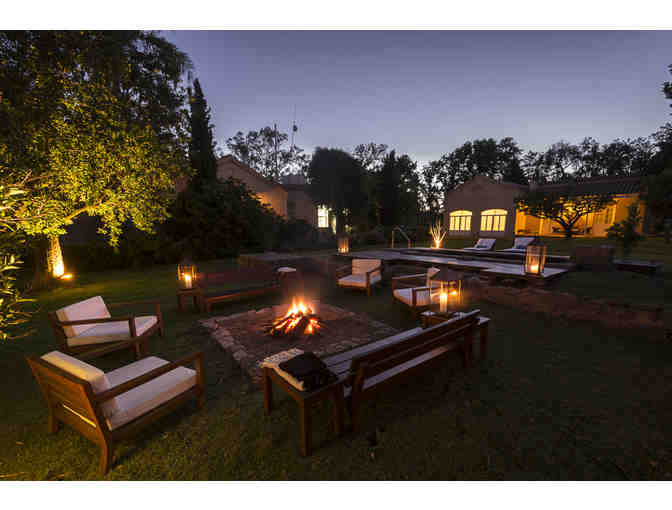 Dove Hunting in Argentina