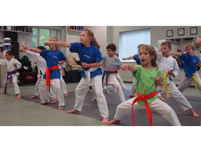 New Generation Martial Arts- 1 month Trial and Uniform
