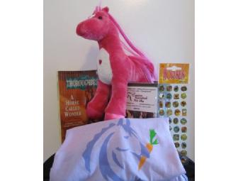 Pony Lover's Fun: Stuffed Pink Pony, T-Shirt, Stickers, More!