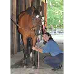 Positive Reflections