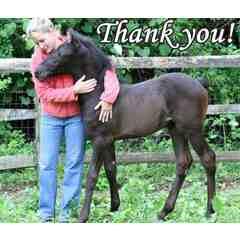 Sarah Berg - One-Star Junior Parelli Instructor