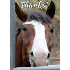 Horse Jewelry by Beth