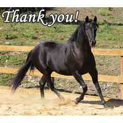 The Volunteers of Lucky Horse Equine Rescue