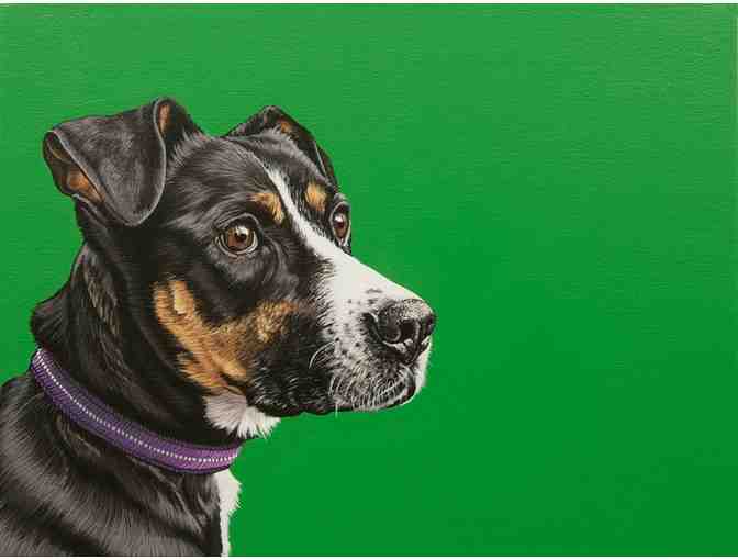 Pop Zoo pet portrait