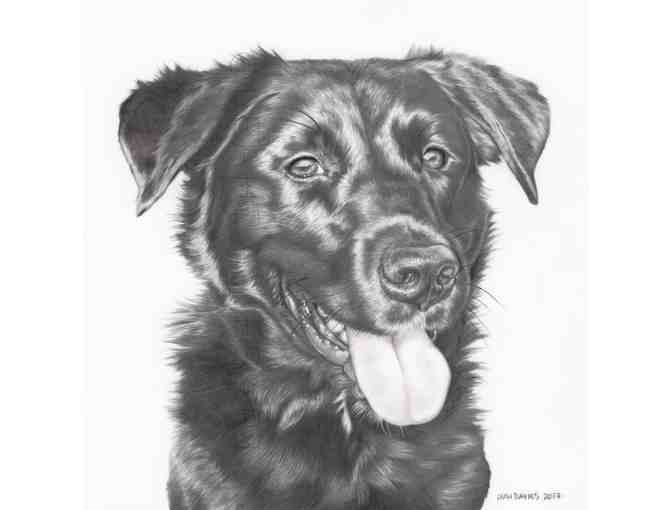 $100 Gift Certificate Towards Custom Pet Portrait by Leah Davies Art