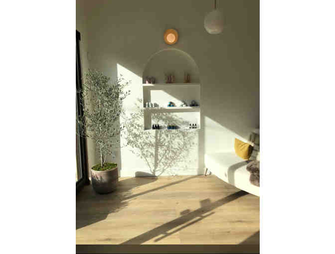 Haircut + Style at Tesler Salon