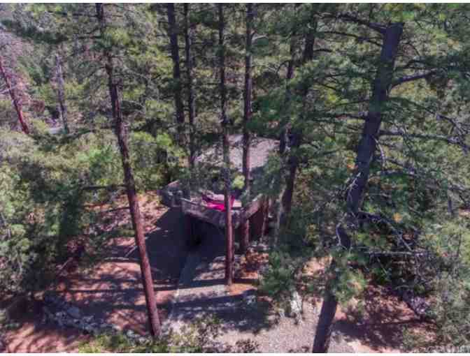 Romance in the Pines