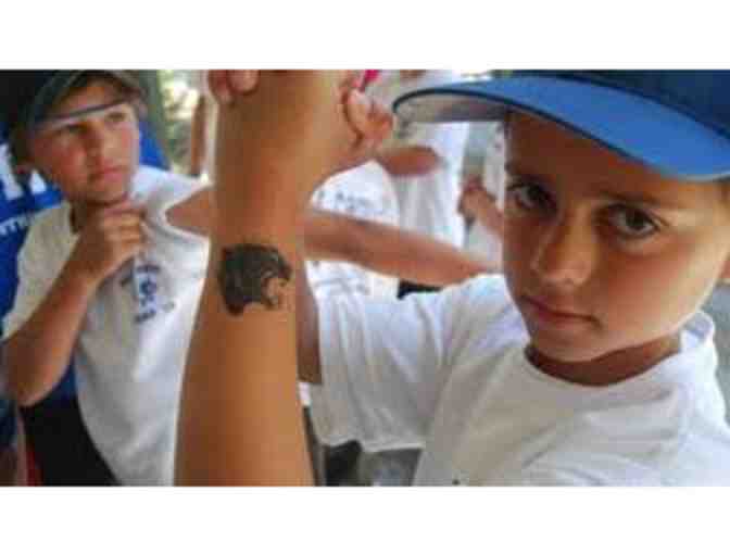 One Week of Summer Camp at Panthers Camp