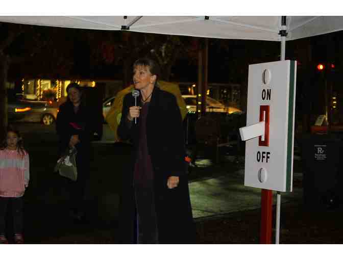 Light the Christmas Tree at Menlo Park's Fremont Park in December, 2015