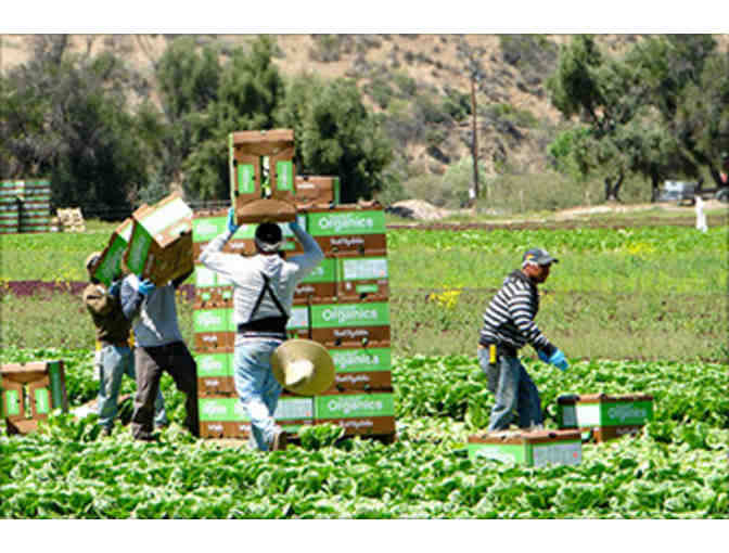 One week dinner delivery from Green Chef for family of four