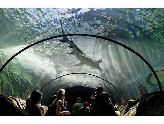 Aussie Insider's One-of-a-Kind Getaway