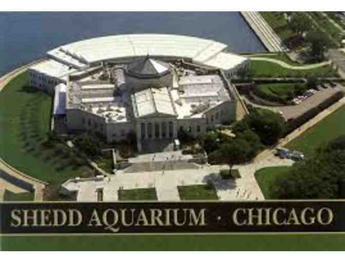 Chicago Package!The "American Girl Package" Westin Hotel & Skydeck & Shedd Aquarium - Photo 2