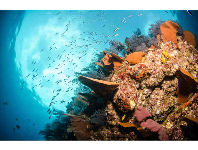 LOS CABOS All Inclusive