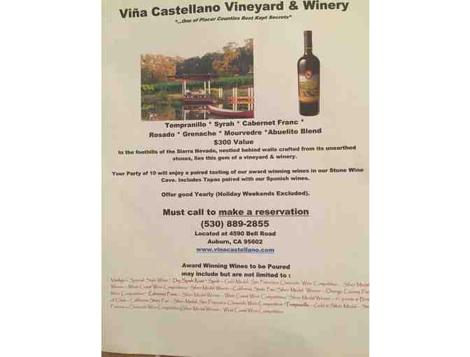 Vina Castellano Tasting and Tapas for Ten!