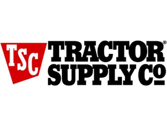 Led Flashlight and Car Phone Mount